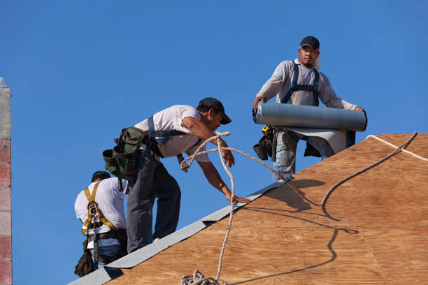 Reliable Edinburg, VA Roofing Contractor Solutions