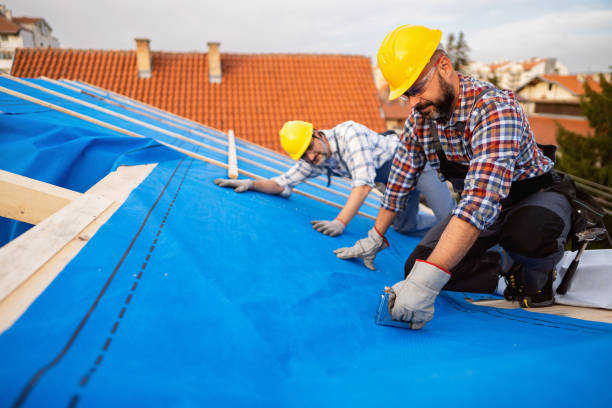 Best Tile Roofing Contractor  in Edinburg, VA