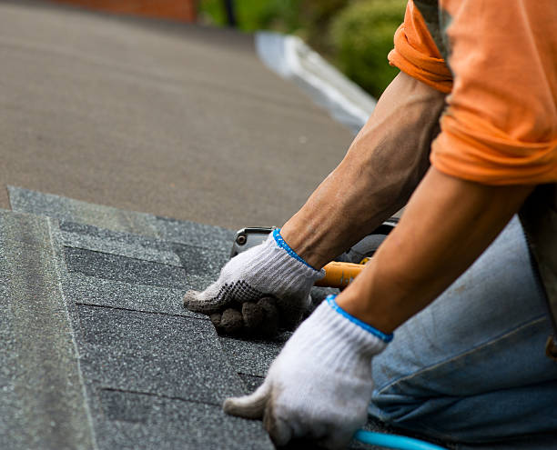 Roof Waterproofing Services in Edinburg, VA