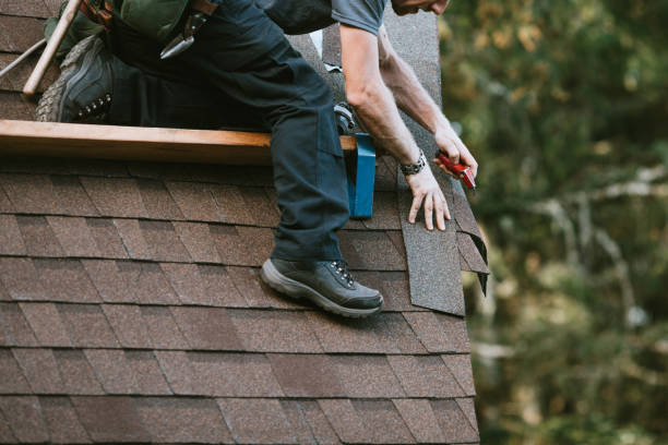 Best New Roof Installation  in Edinburg, VA