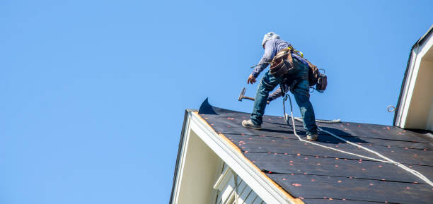 Best Gutter Installation and Roofing  in Edinburg, VA